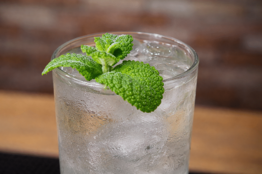 mojito-de-vinho-branco-1-1024x683 Mojito de Vinho Branco: drink refrescante e leve para dias quentes